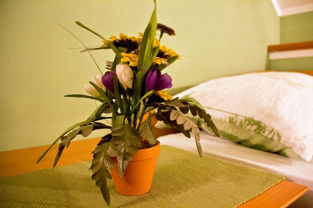 Guesthouse Jug Blato Bagian luar foto
