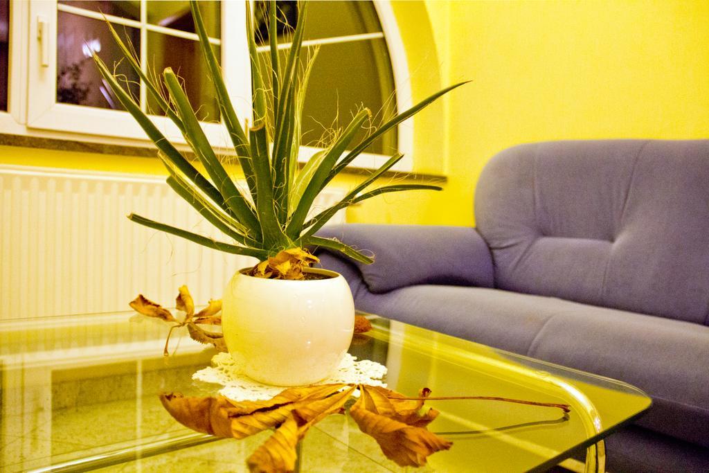 Guesthouse Jug Blato Bagian luar foto